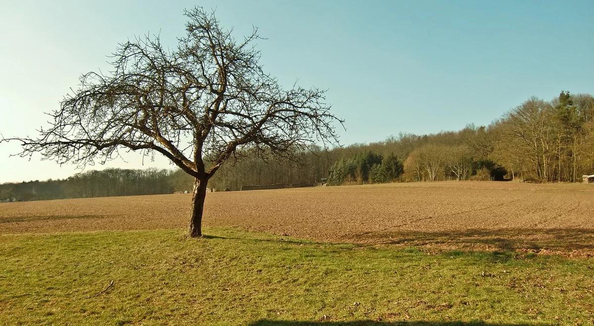 Ustawa o sprzedaży ziemi do nowelizacji. Ma zmienić przepisy blokujące kredyty dla rolników