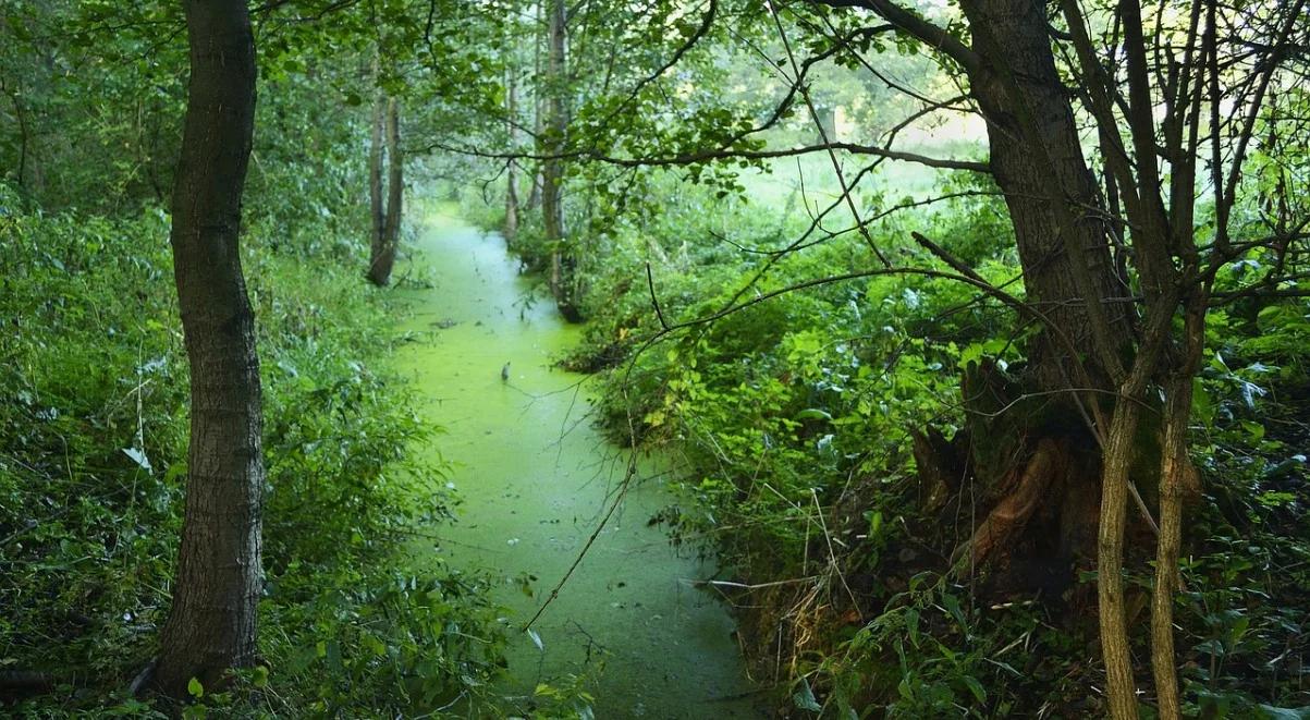 121 nowych miejsc pracy w gminach z Naturą 2000 na Podlasiu