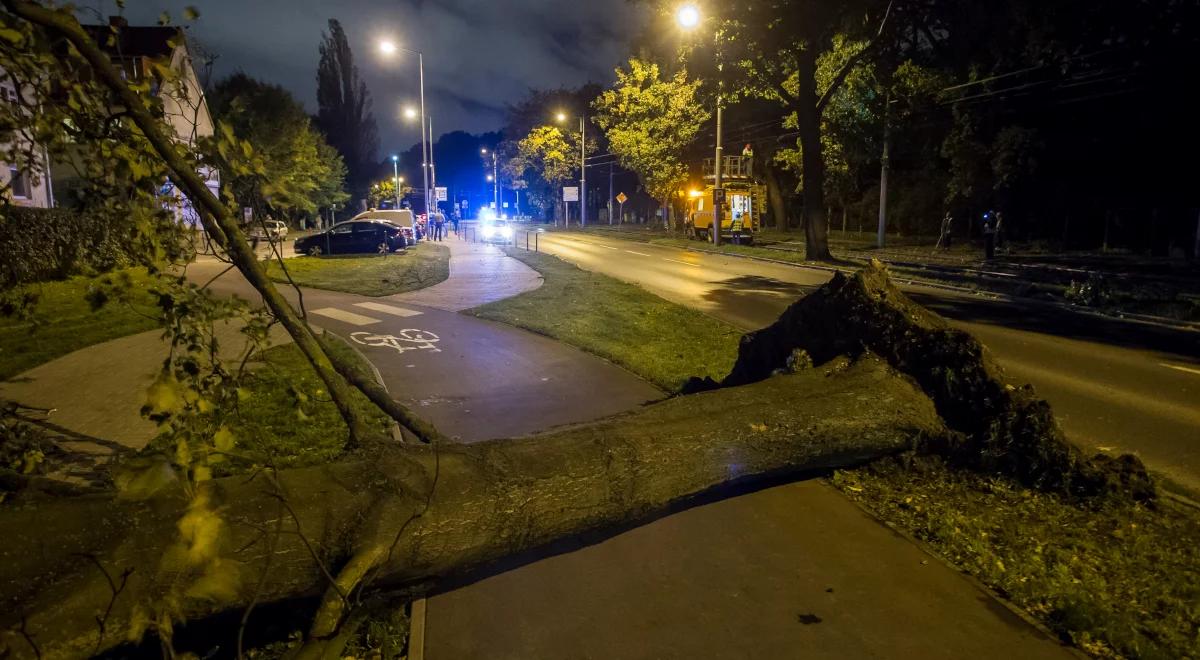 Nad Polskę nadciąga cyklon Ulf. Rzecznik IMGW: sytuacja jest groźna, będzie bardzo silny wiatr