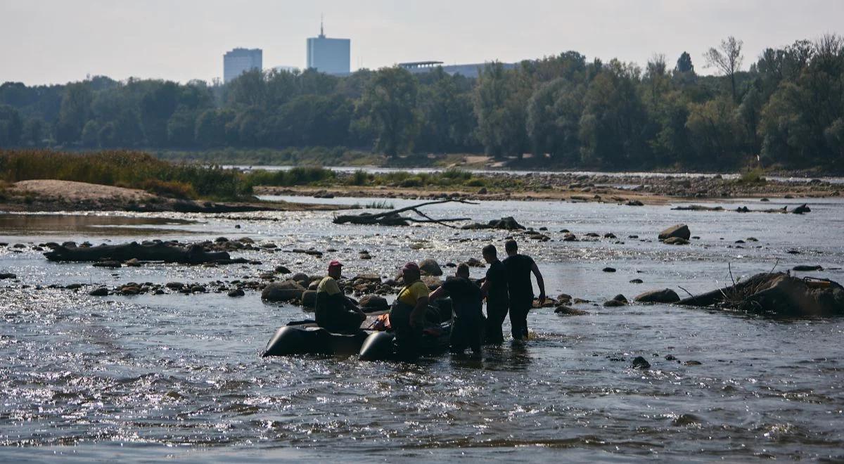 Zagrożone ptaki Wisły. "Inwestycje na rzece nie mogą degradować środowiska"