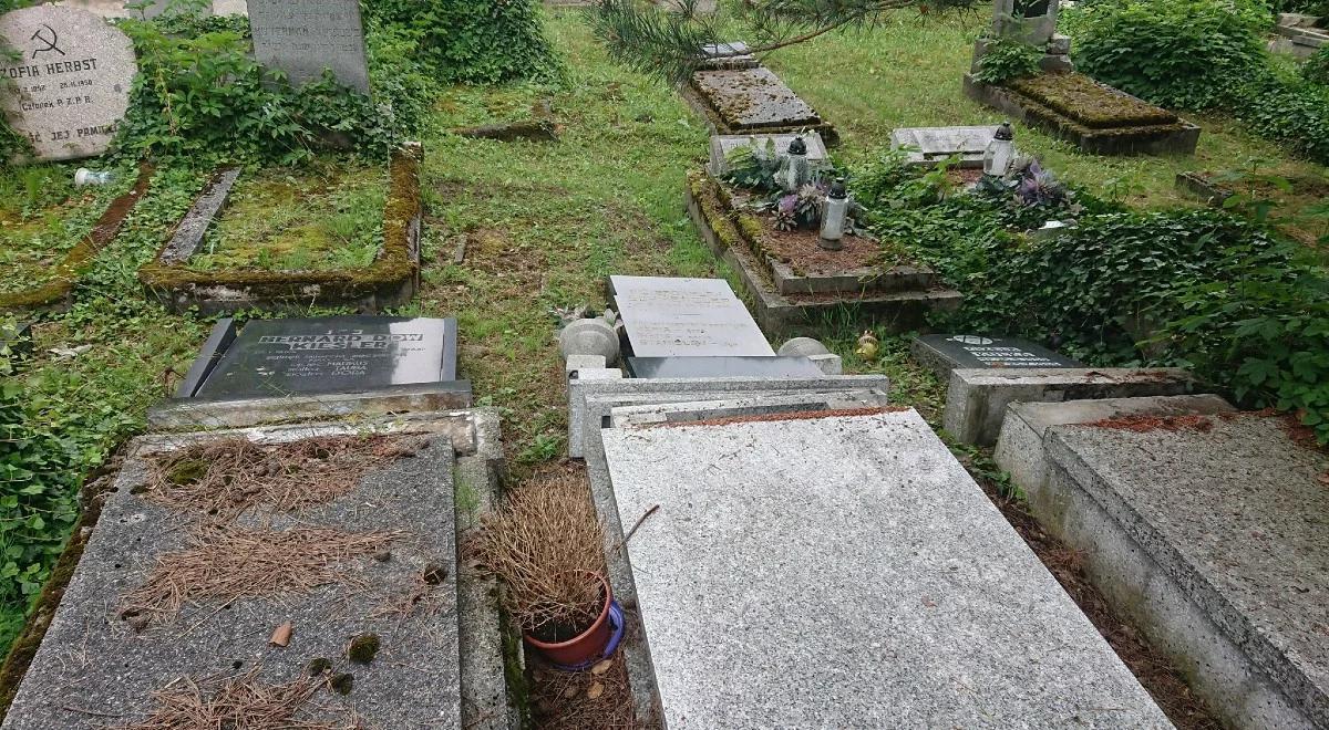 Trzech nastolatków zdewastowało cmentarz żydowski w Bielsku-Białej. Sprawą zajmie się sąd rodzinny