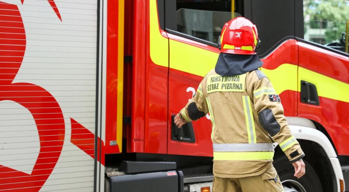 Pożar na poligonie w Żaganiu ugaszony. Ogień strawił 7 hektarów