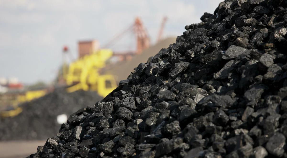 "Rządowy program nie jest radykalny". Publicysta o polityce energetycznej Polski do 2040 r.