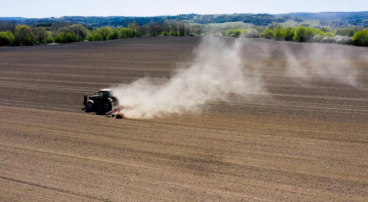 Upraszczanie przyrody - sprzymierzeniec katastrof klimatycznych