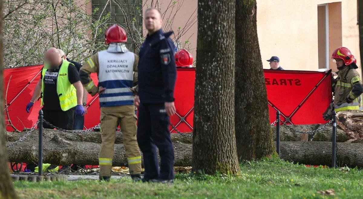 Spóźniony komunikat RCB ws. wichur. Szef MSWiA tłumaczy