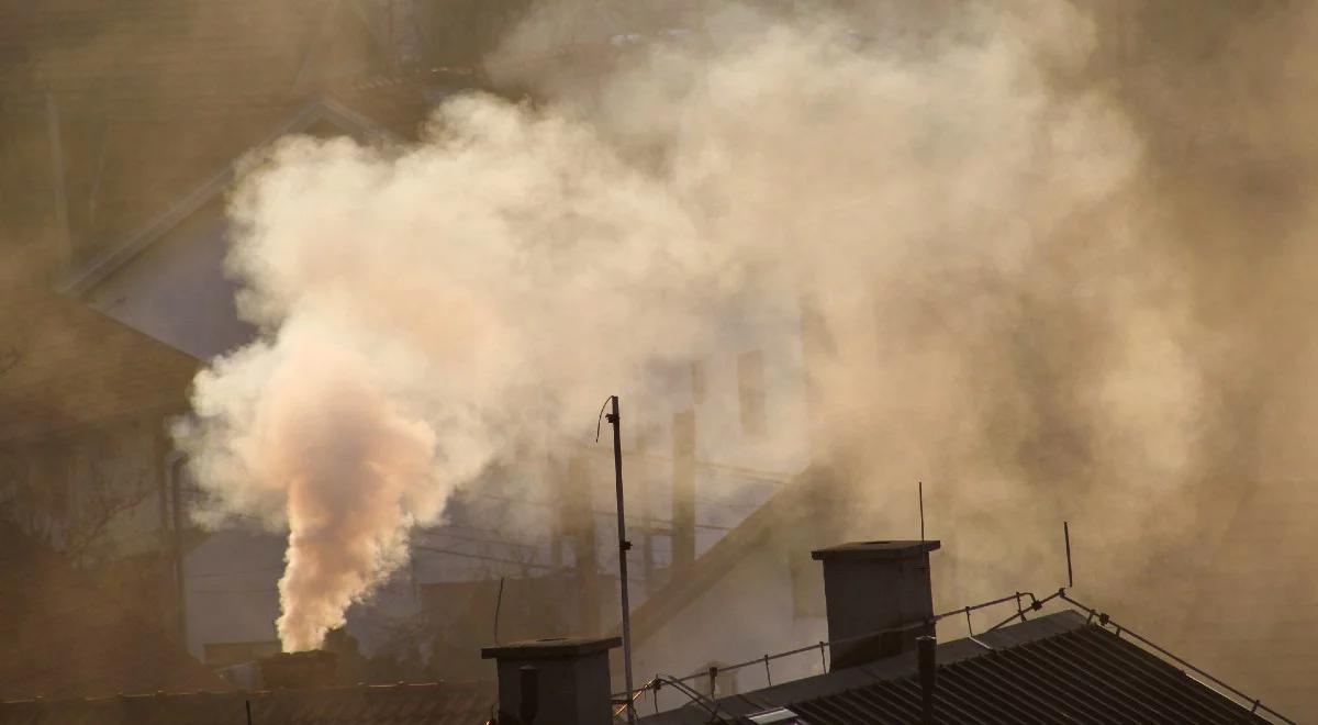 Program Czyste Powietrze. Minister klimatu: środki na wypłaty są zapewnione