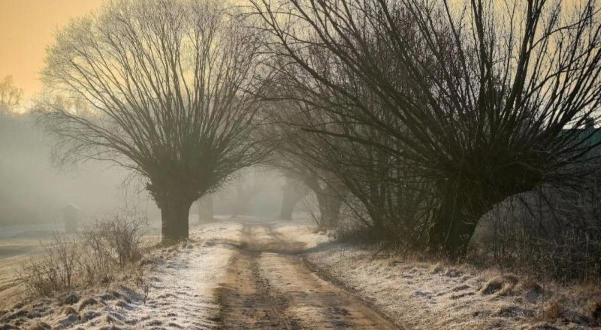 Spadnie deszcz i śnieg. Sprawdź prognozę pogody na piątek