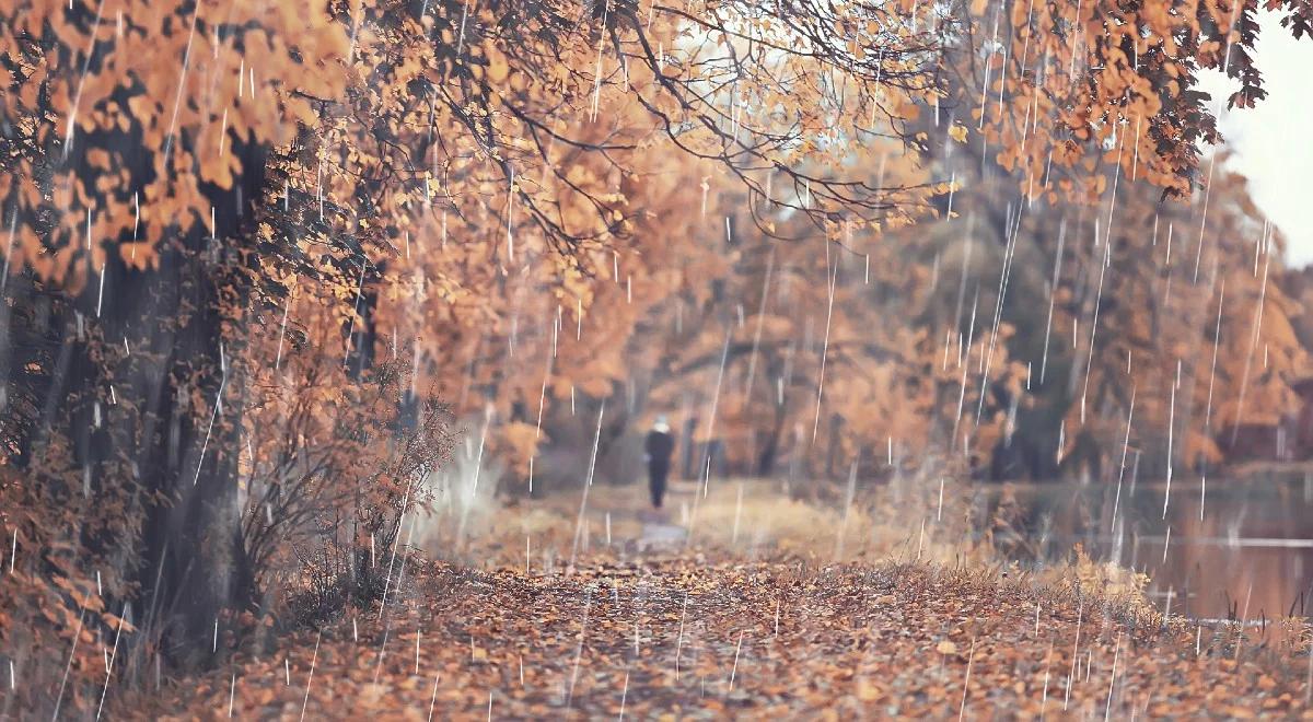 Od deszczu ze śniegiem, po możliwe burze. Sprawdź prognozę pogody na wtorek