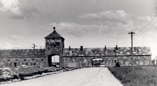 Była więźniarka obozu w Auschwitz pozywa rząd Niemiec