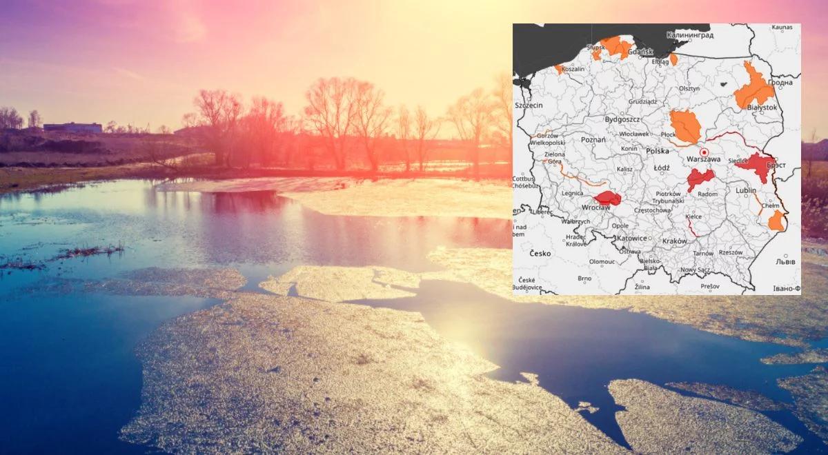 Pogodne popołudnie w całym kraju. Synoptyk IMGW: będzie dość ciepło