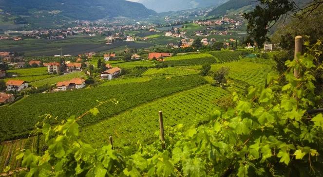 Polska wieś nie może być kalką miasta ani skansenem