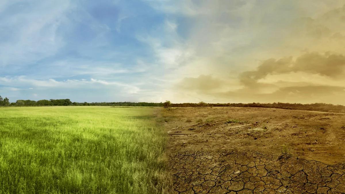 Tak zmiany klimatu zniszczą Polskę. Nowa pustynia w środku kraju