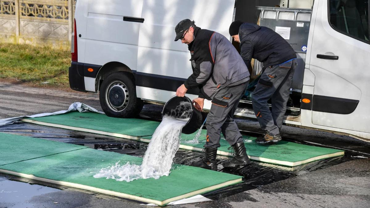 Lubelskie: ptasia grypa się rozprzestrzenia, odkryto nowe ogniska
