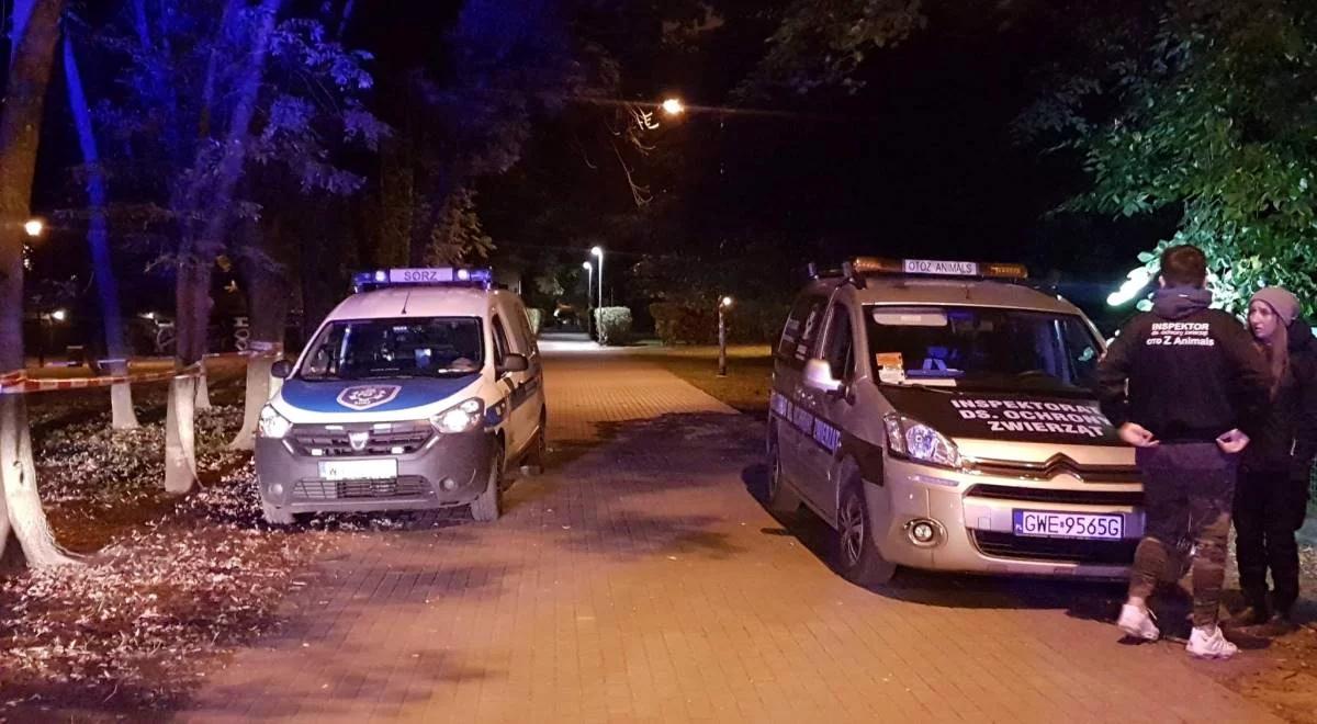 Warszawa: prawie 200 ptaków na Mokotowie zostało otrutych? Weterynarze nie mają wątpliwości