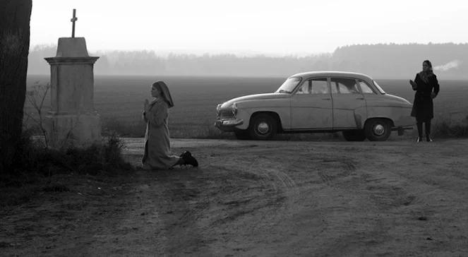 Polskie filmy na kroplówce