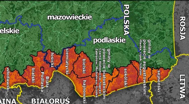 Marek Sawicki: rekompensaty do 40 tys. t, będą dwie strefy buforowe ASF