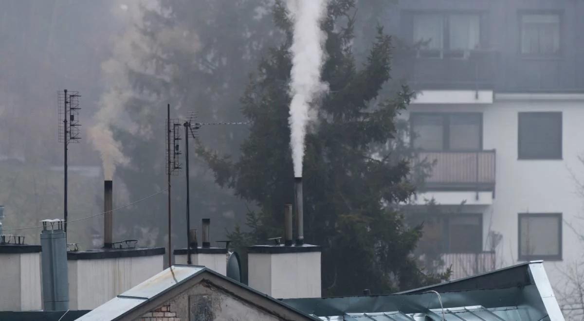 Zanieczyszczone powietrze zabija. "Mamy poważny problem"