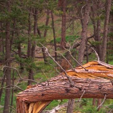 Duże straty po gwałtownych burzach nad Polską. Zginęła jedna osoba