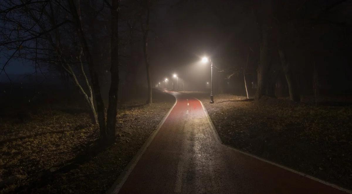 Pogoda: możliwe przelotne opady deszczu. W nocy uwaga na przymrozki