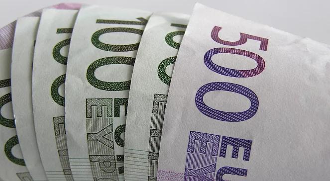 Nie będzie referendum w sprawie przyjęcia euro?