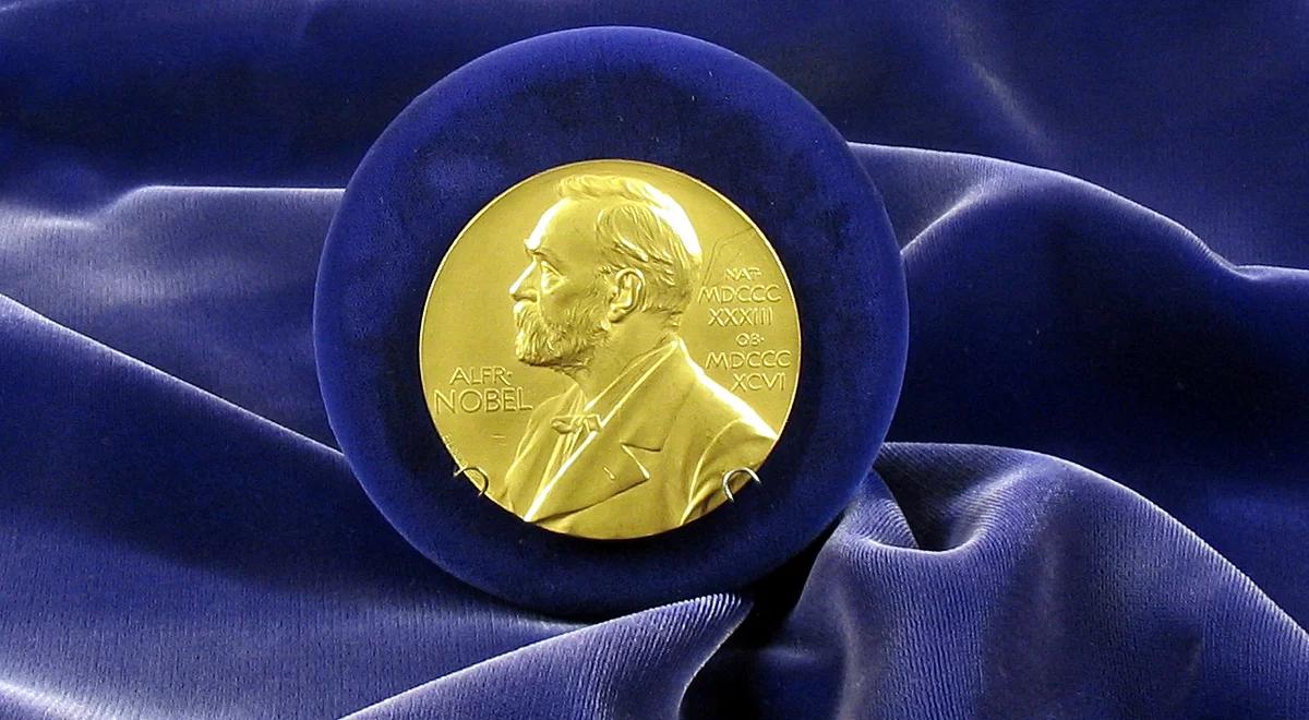 Nobel z fizyki. Polscy naukowcy mieli swój wkład w badania  