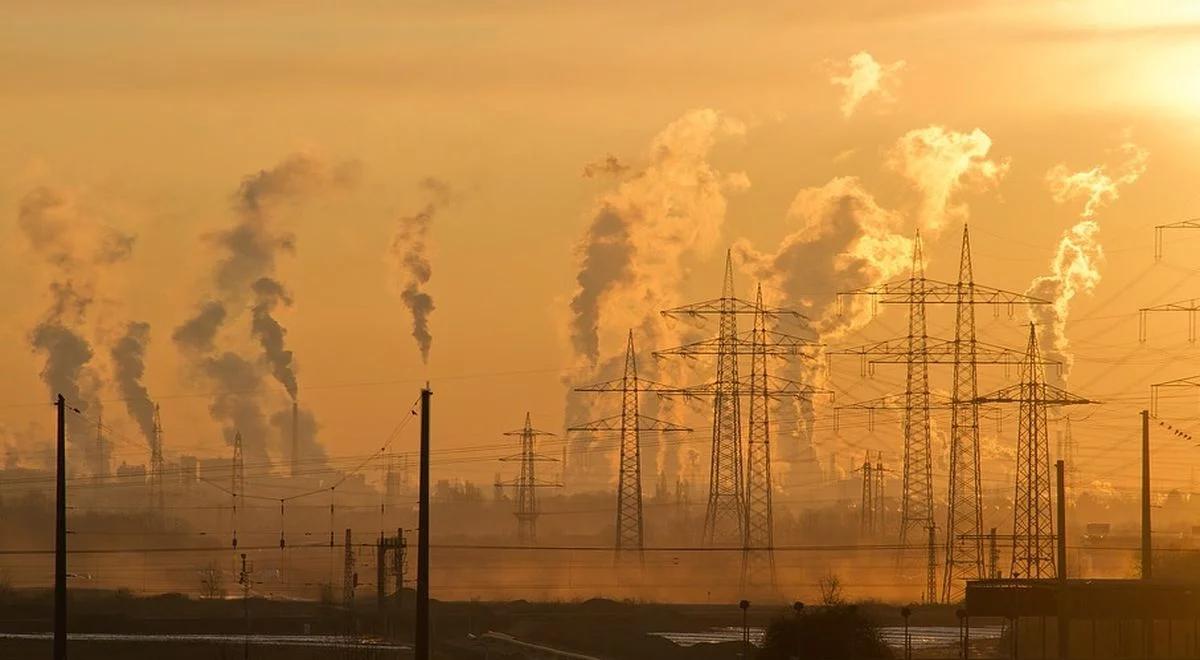 NIK rusza z akcją edukacyjną na temat zagrożenia smogiem