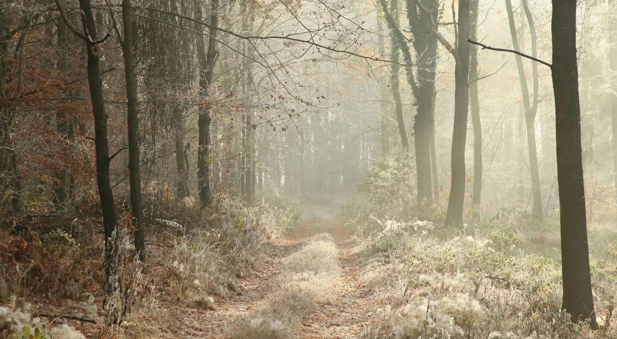 Środa będzie zimna. Ujemne temperatury niemal w całym kraju. Sprawdź prognozę