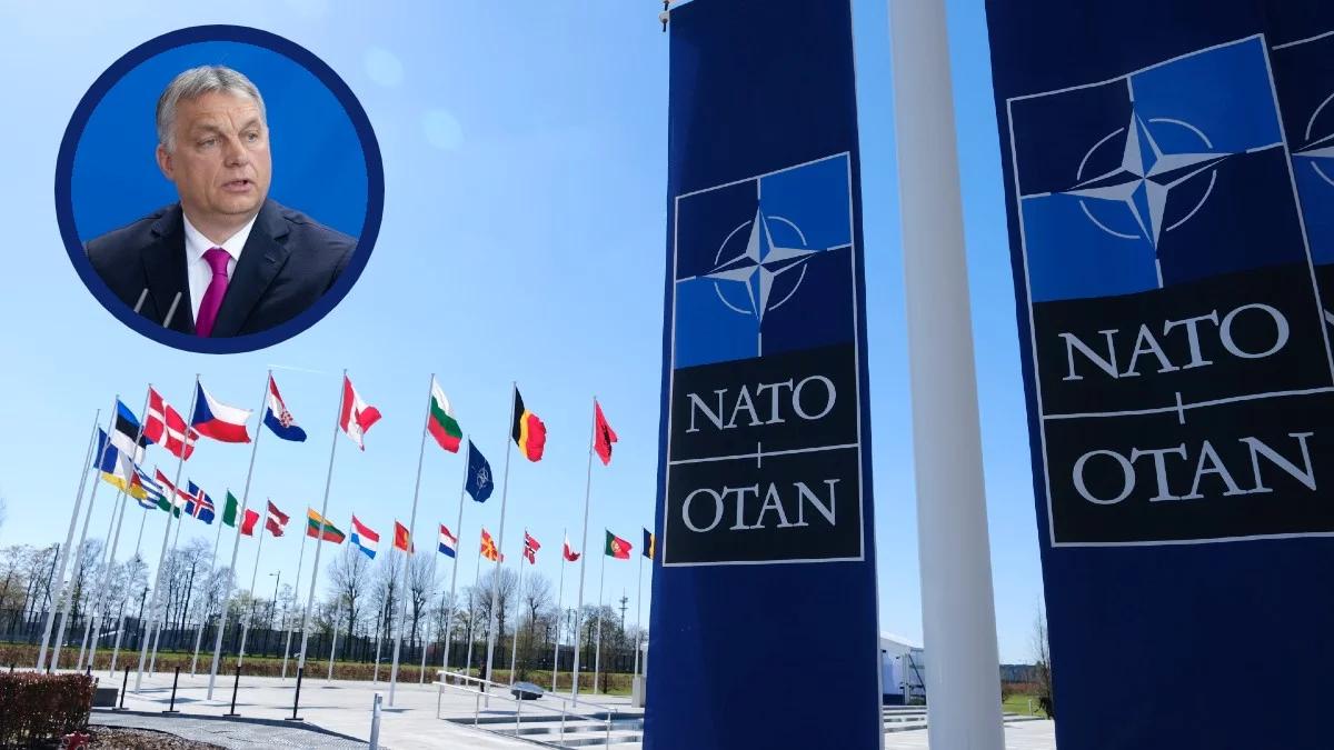 Węgry na drodze Szwecji do NATO. Ekspert: Orban raczej nie skorzysta z okazji, by stać się pariasem