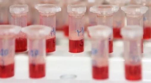 Piłkarze mają dość drobiazgowych kontroli