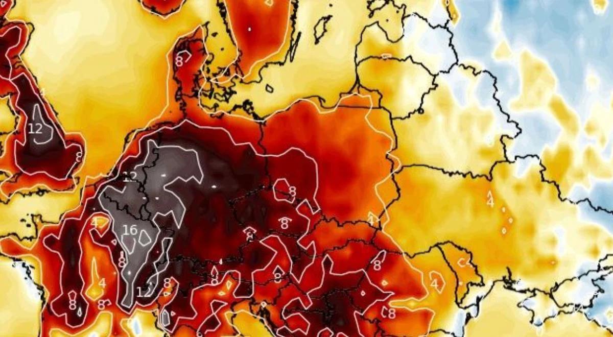 Żar będzie się lał z nieba. Dla tych regionów wydano alerty przed upałami