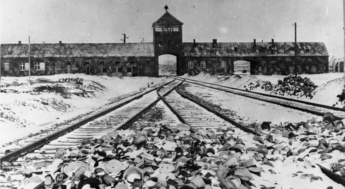 71. rocznica wyzwolenia Auschwitz. Oficjalne uroczystości na terenie dawnego obozu