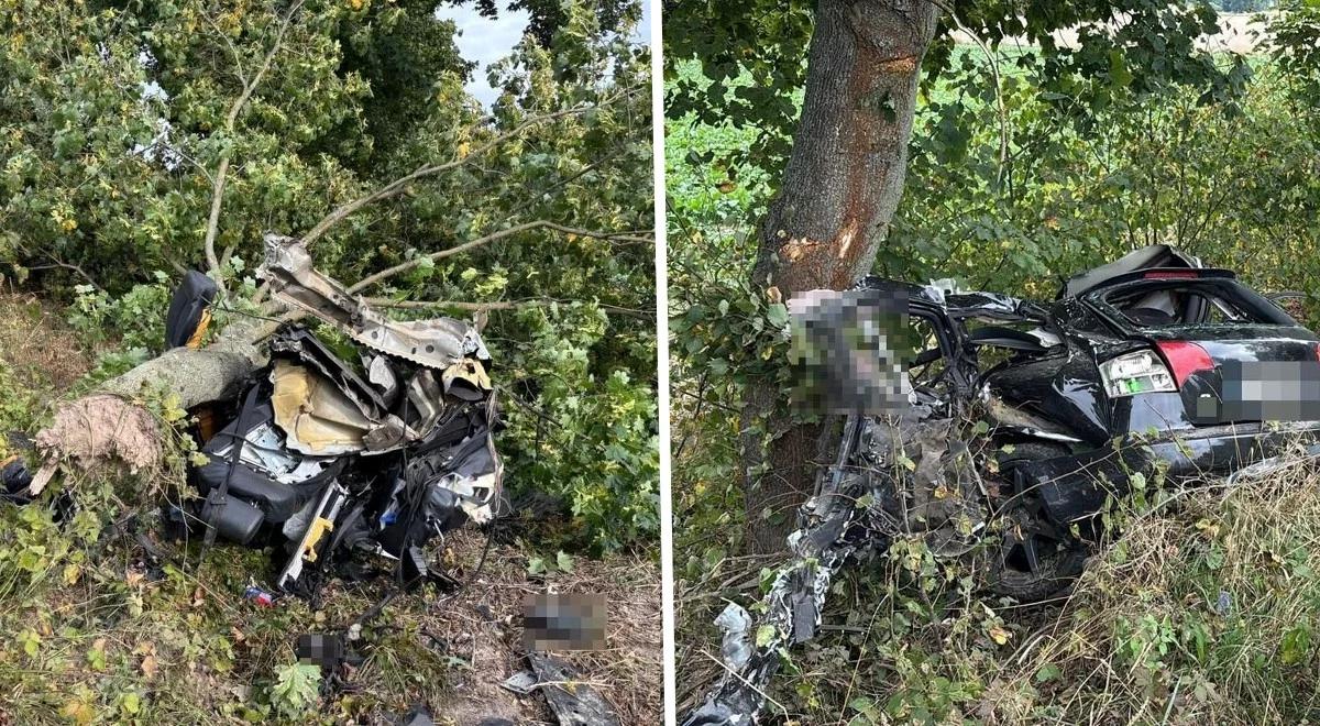 Śmierć na miejscu, audi rozerwane na dwie części. Kierowca miał 24 lata