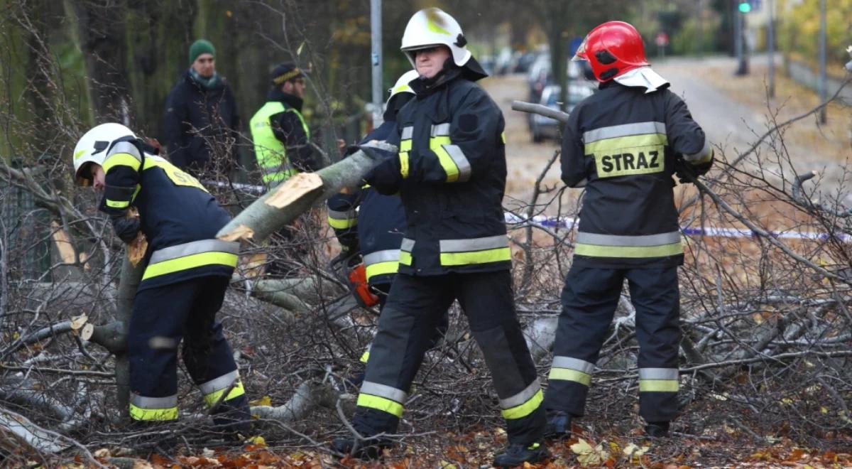 Wichury nad Polską. Sopot:  zginęła kobieta, na którą spadł konar oderwany od drzewa