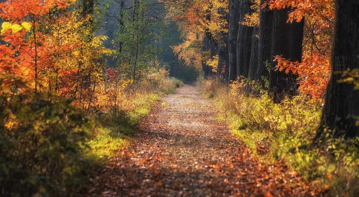 Będzie pogodnie i ciepło. Sprawdź prognozę pogody na długi weekend