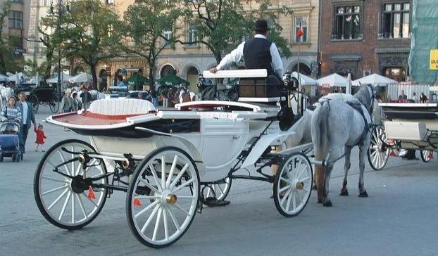 Trzy osoby ranne w wypadku dorożki. Zginął koń