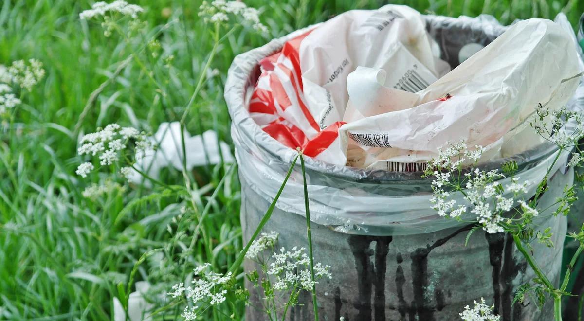 Wzory Skandynawskie: drugie życie śmieci