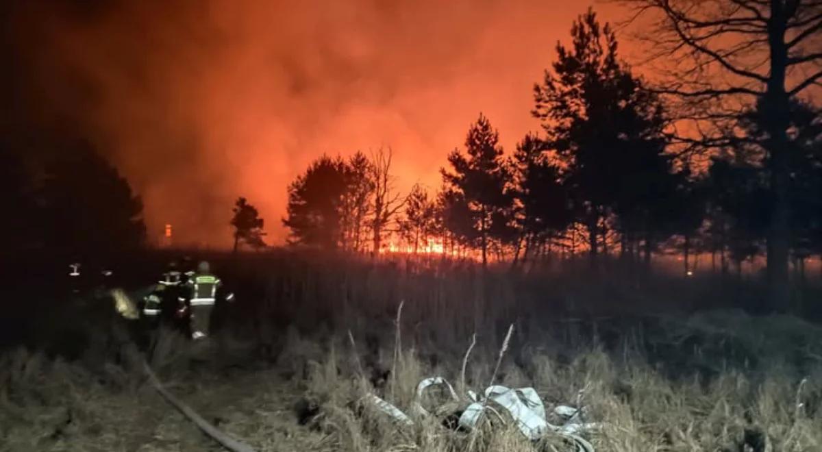 Duży pożar na Podkarpaciu, kilkanaście hektarów w ogniu. To było podpalenie?