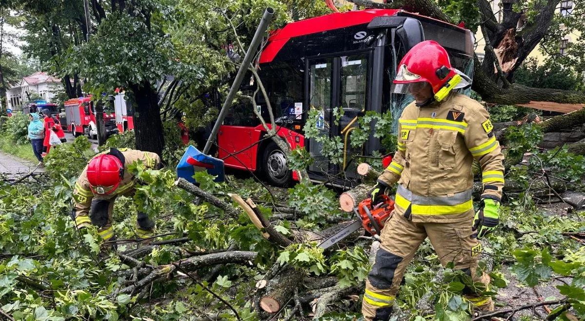 Na miejski autobus przewróciło się drzewo. Trzy osoby są poszkodowane