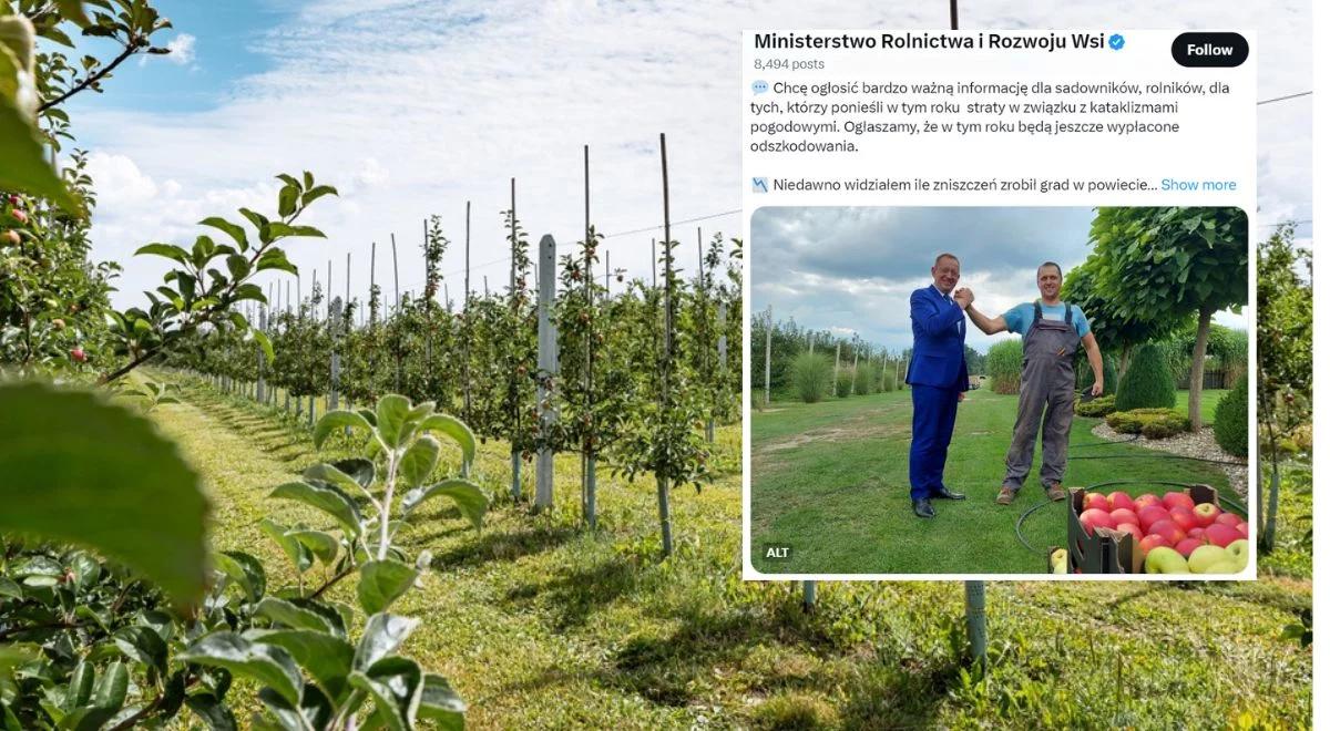 Będzie wsparcie dla sadowników i plantatorów po stratach w wyniku niepogody. Znamy szczegóły