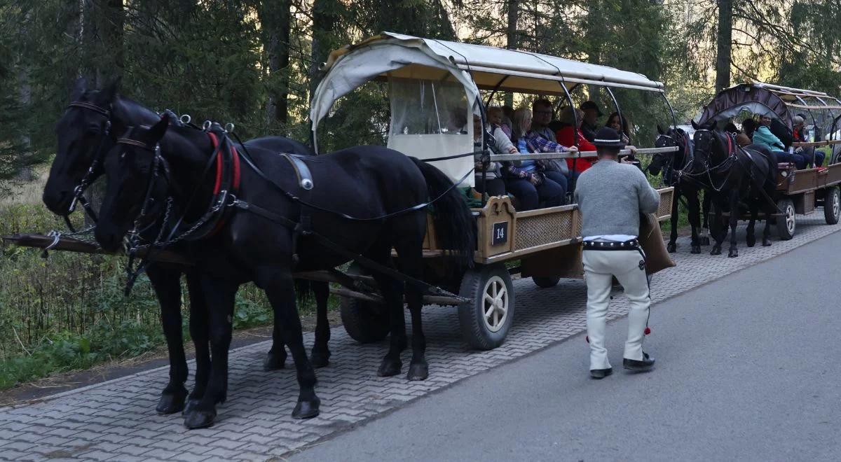 Jest decyzja ws. koni z Morskiego Oka. "Historyczny moment"