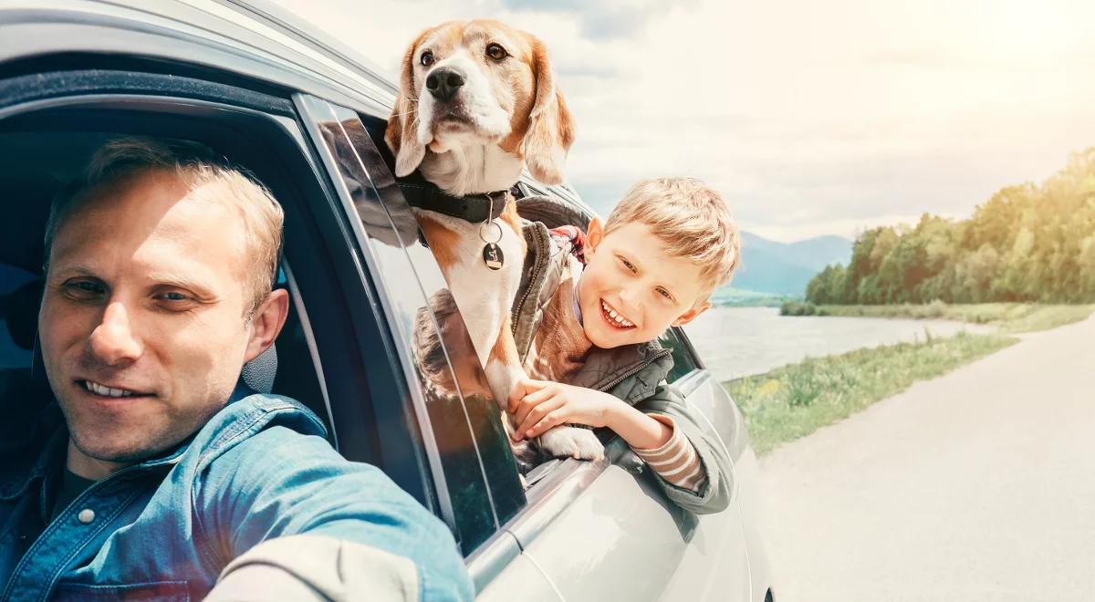 Samochodem na wakacje. Sprawdź, jakie wyposażenie musi mieć auto
