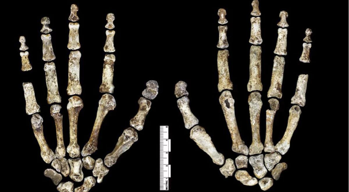 Homo naledi - pierwotna forma człowieka