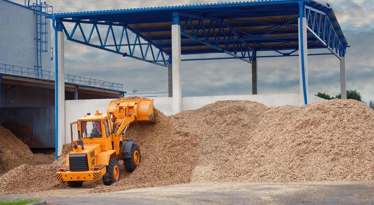 Alternatywne źródła energii. Polska może uzupełnić część unijnej luki w biomasie