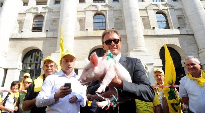 Rolnicy protestują ze stadem prosiąt