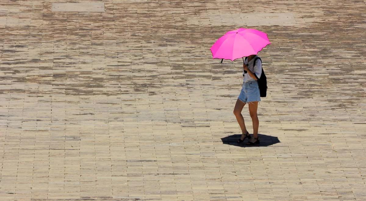 Klimatolog przestrzega przed afrykańskimi upałami: będą się powtarzać 