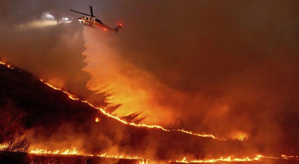 Pożary w Los Angeles. Złapano podpalacza, który wzniecił ogień