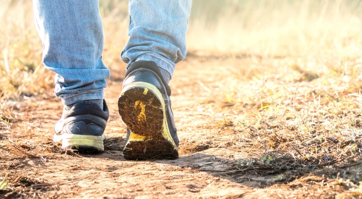 Prognoza pogody na czwartek: temperatura niemal wiosenna