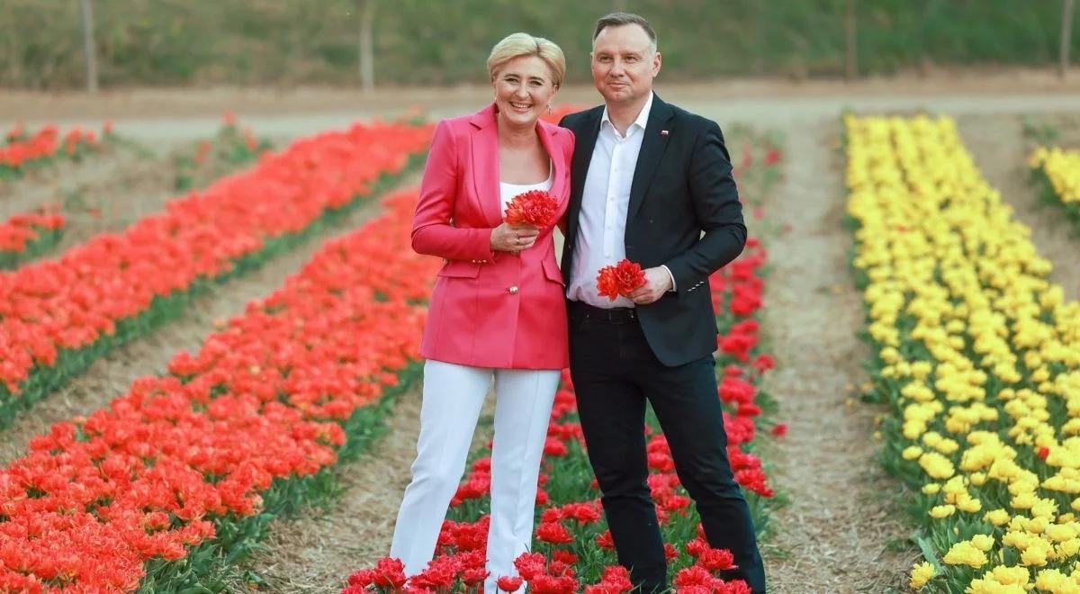 Wyjątkowa nowa odmiana tulipana. Będzie nosić imię pierwszej damy - Agaty Kornhauser-Dudy