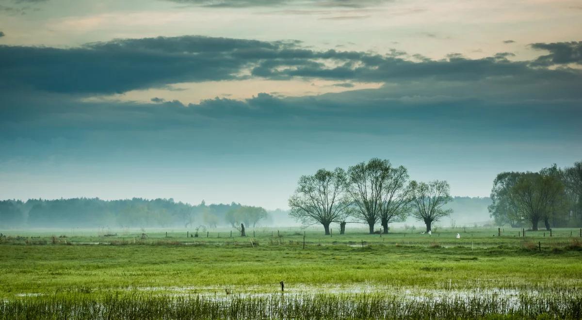 Dalszy rozwój Podlasia związany z Via Baltica i Via Carpatia