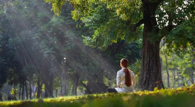To jeszcze nie koniec lata. Wtorek ciepły i pogodny, do piątku nawet 30 stopni